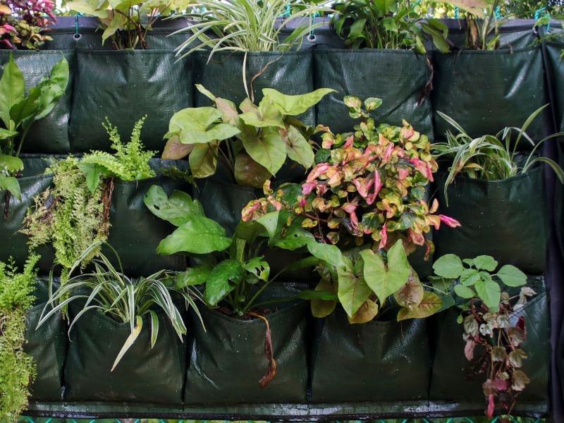harga plastik polybag per kg